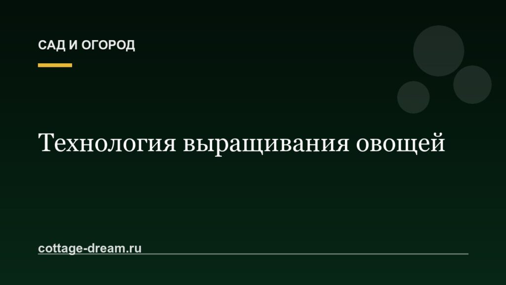 Технология выращивания овощей:  описание и фото