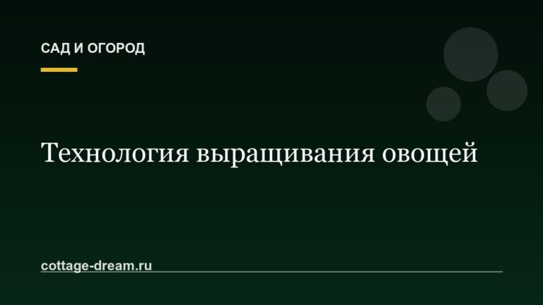 Технология выращивания овощей:  описание и фото