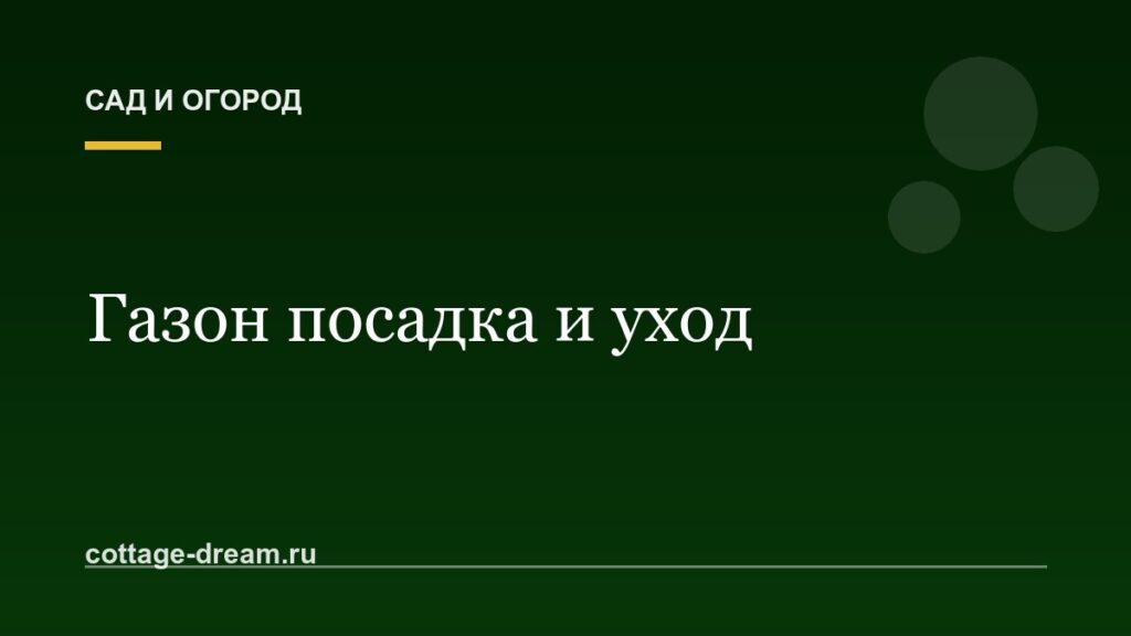 Газон посадка и уход