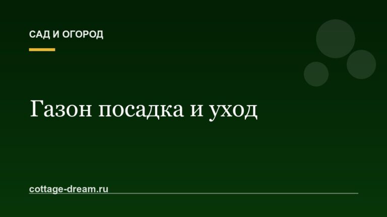 Газон посадка и уход