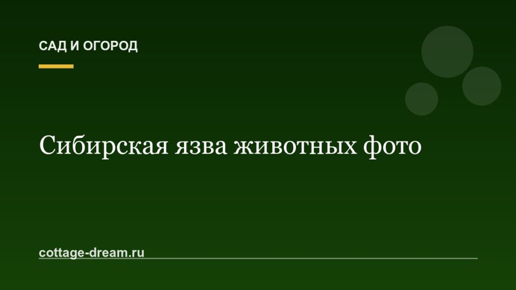 Сибирская язва животных фото