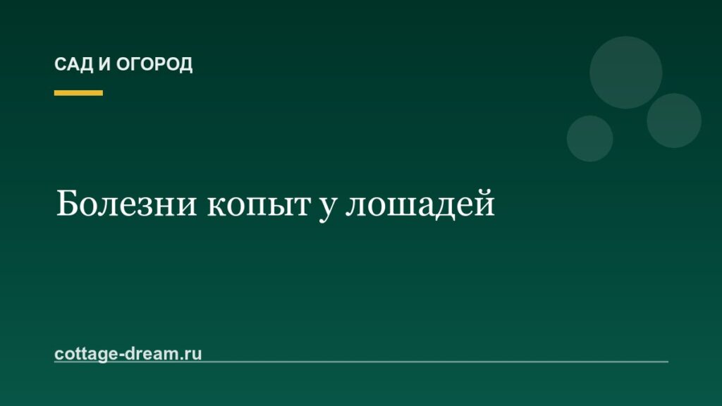 Болезни копыт у лошадей