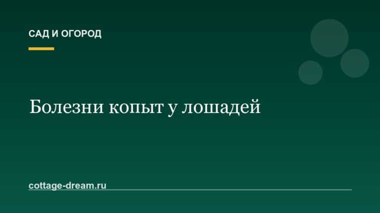 Болезни копыт у лошадей