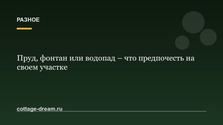Пруд, фонтан или водопад – что предпочесть на своем участке