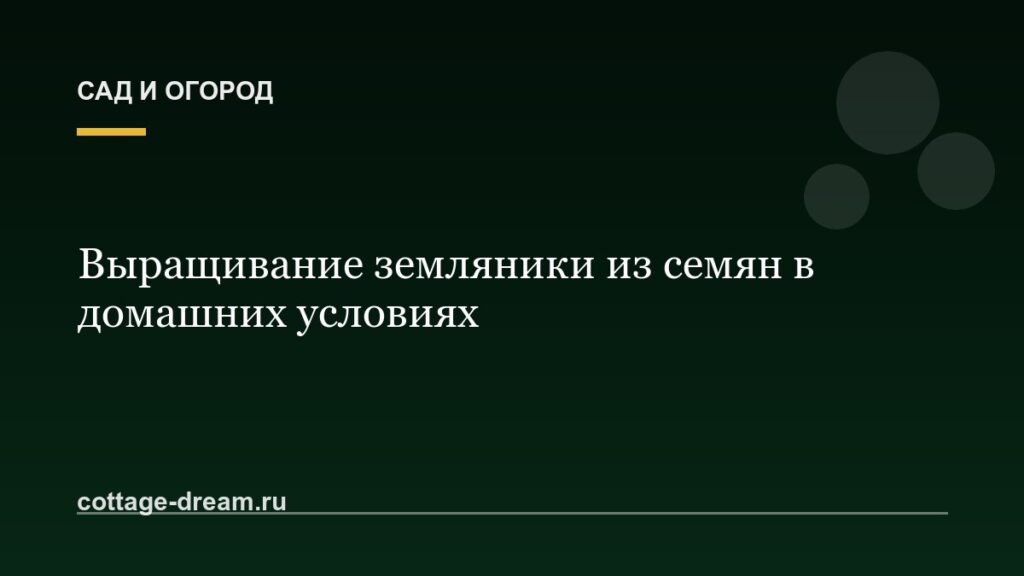 Выращивание земляники из семян в домашних условиях