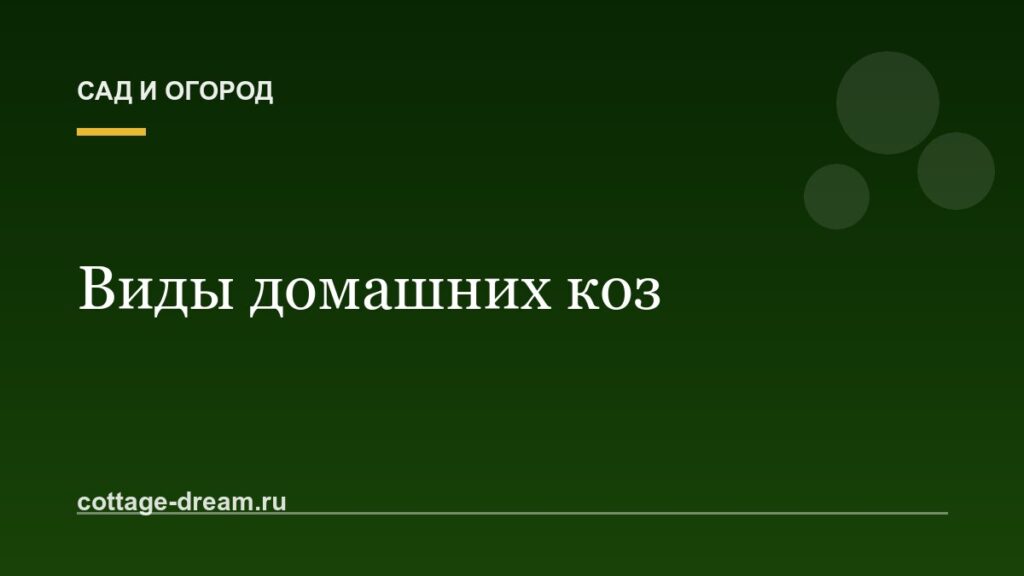 Виды домашних коз: описание и фото