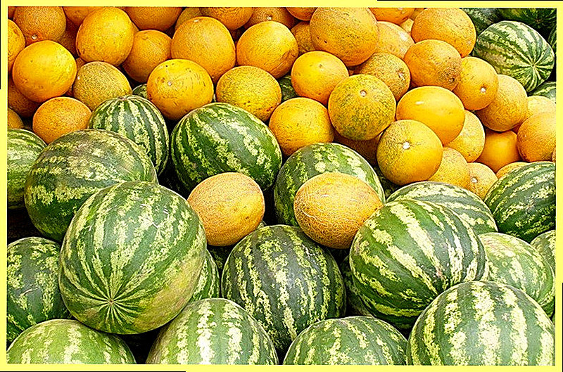 Арбузы и дыни