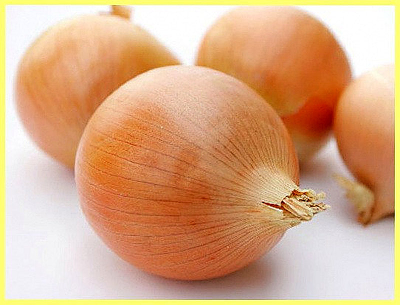 Лук репчатый