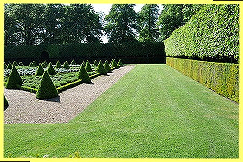 Устройство партерного газона