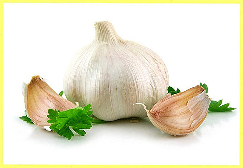 Чеснок