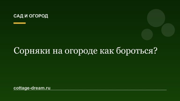 Сорняки на огороде как бороться?