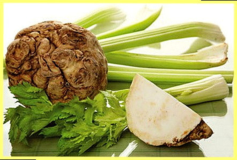 Сельдерей полезные свойства