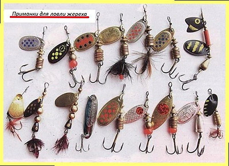 Приманки для ловли жереха