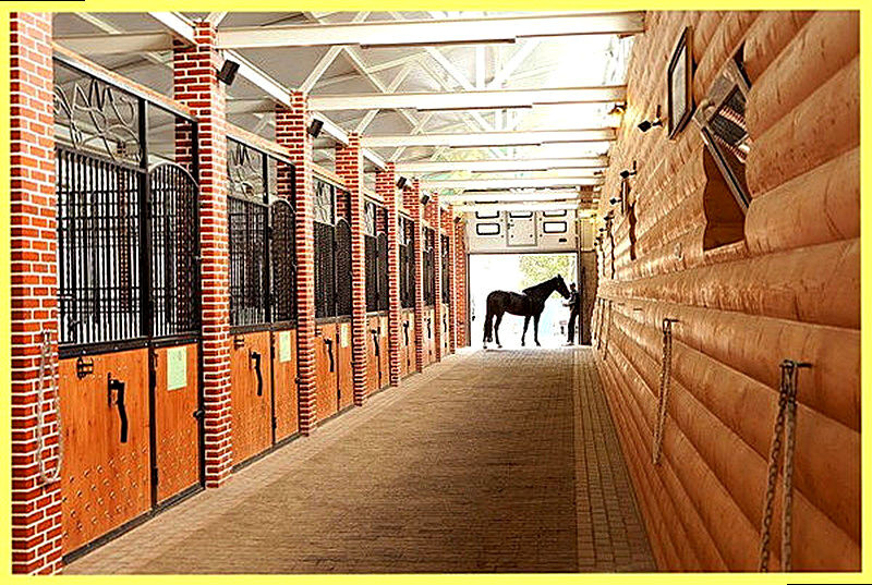 Конюшня для лошадей