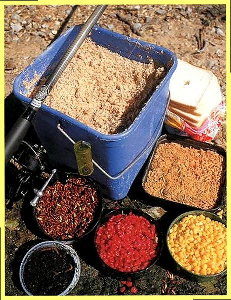 Прикормка рыбы перед рыбалкой