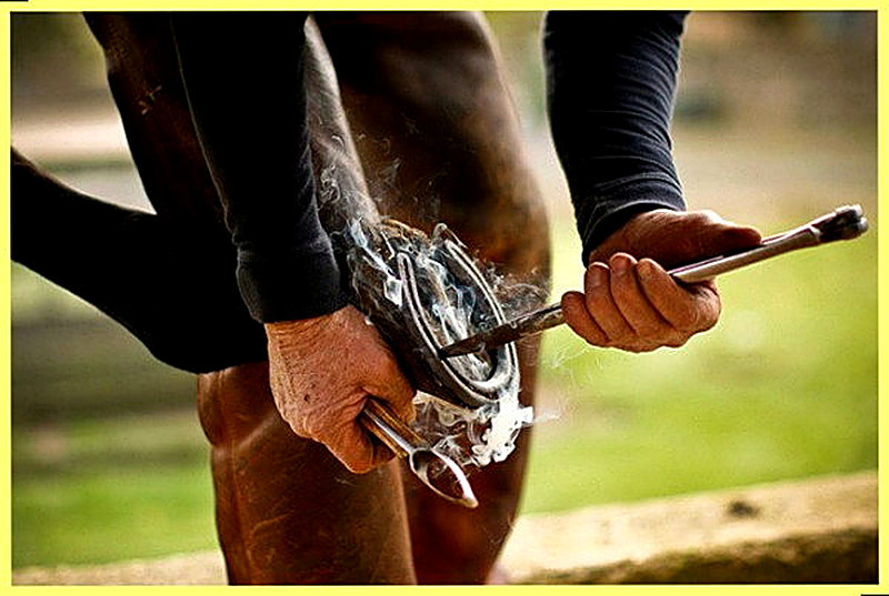 Подковка лошадей