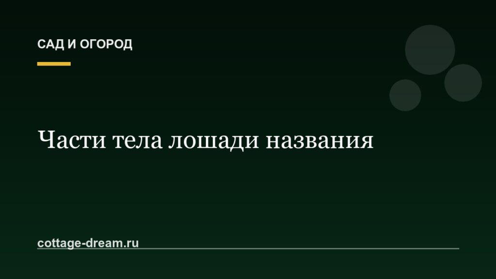 Части тела лошади названия