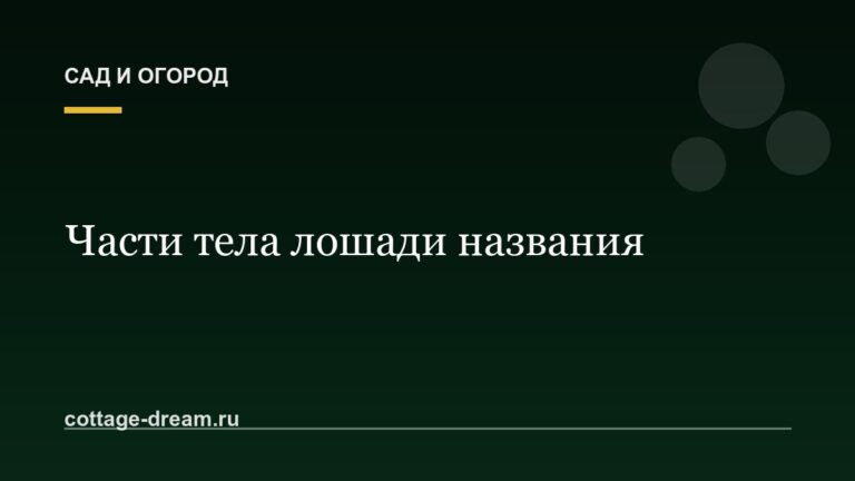 Части тела лошади названия