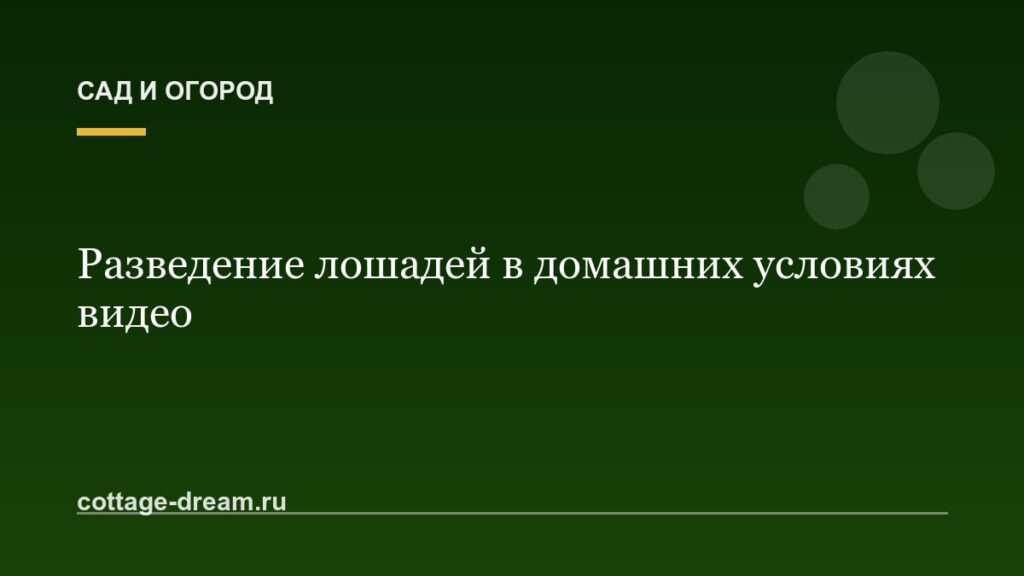 Разведение лошадей в домашних условиях видео