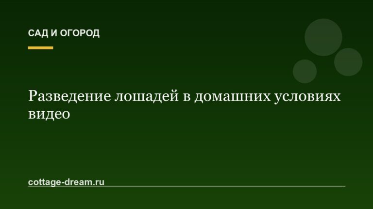 Разведение лошадей в домашних условиях видео