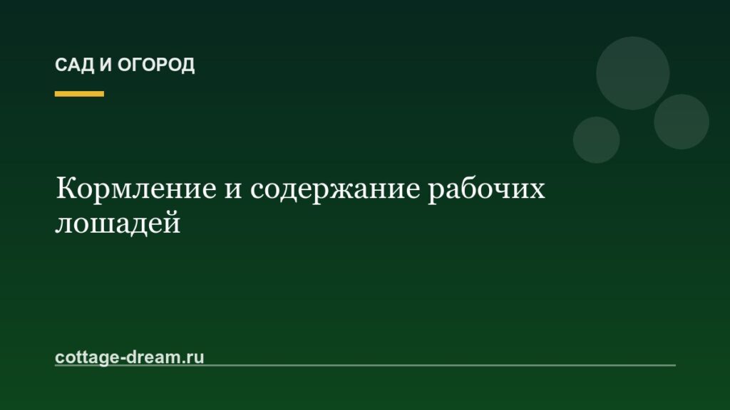 Кормление и содержание рабочих лошадей: и уход за ними