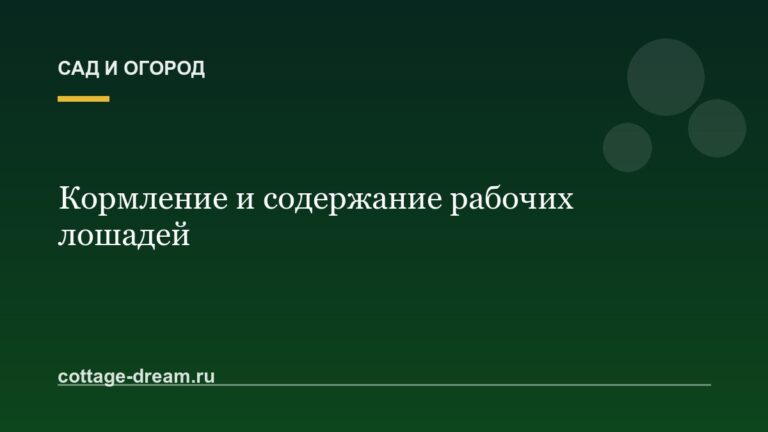 Кормление и содержание рабочих лошадей: и уход за ними