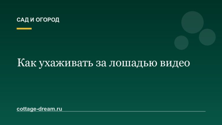 Как ухаживать за лошадью видео