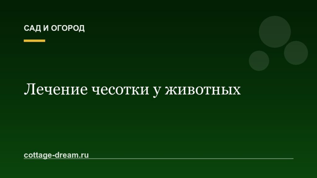 Лечение чесотки у животных: описание болезни