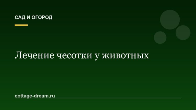 Лечение чесотки у животных: описание болезни