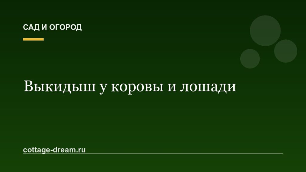 Выкидыш у коровы и лошади: лечение