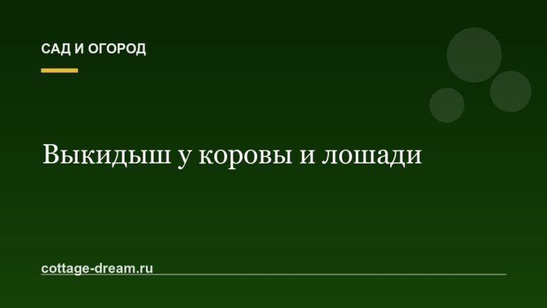 Выкидыш у коровы и лошади: лечение