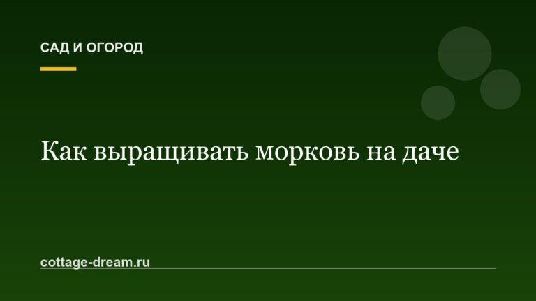 Как выращивать морковь на даче