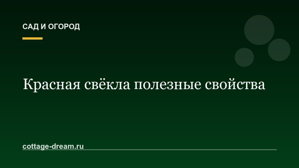 Красная свёкла полезные свойства