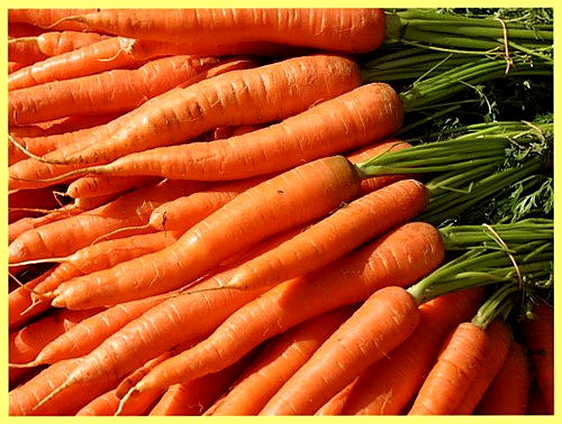 Уборка моркови