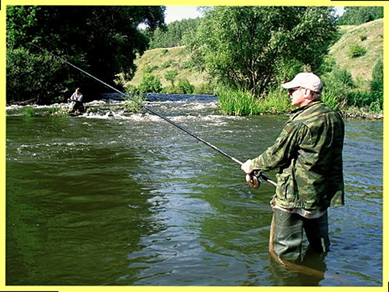 Ловля в проводку