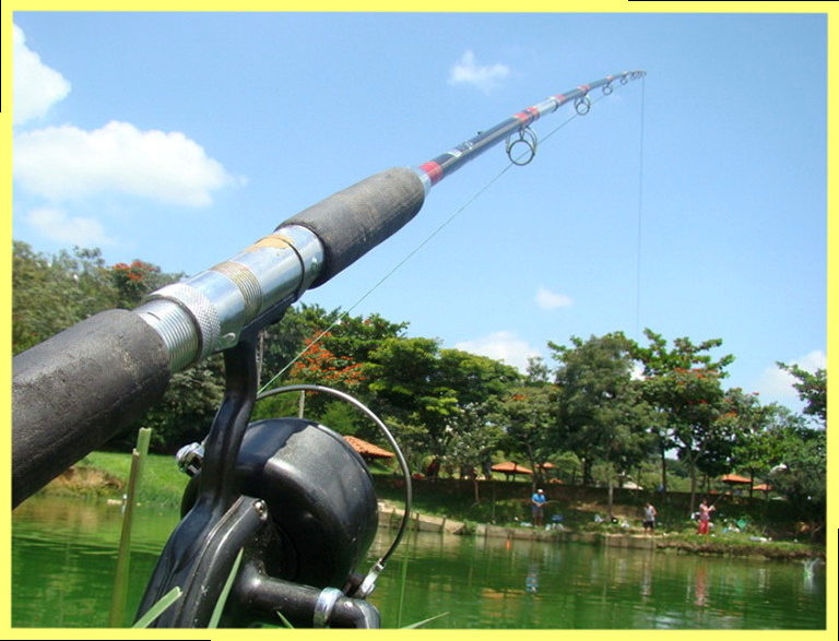 Ловля рыбы в проводку