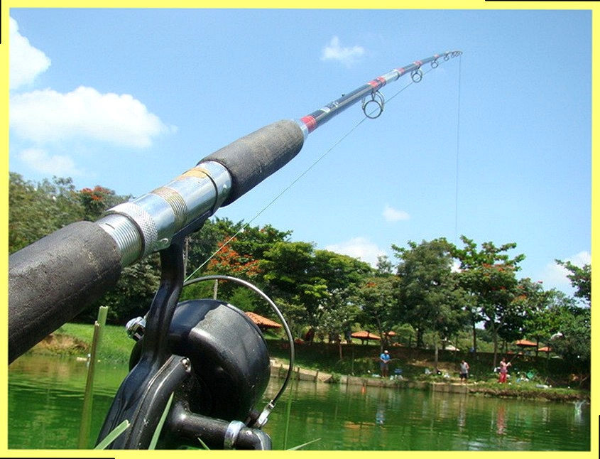 Ловля рыбы в проводку