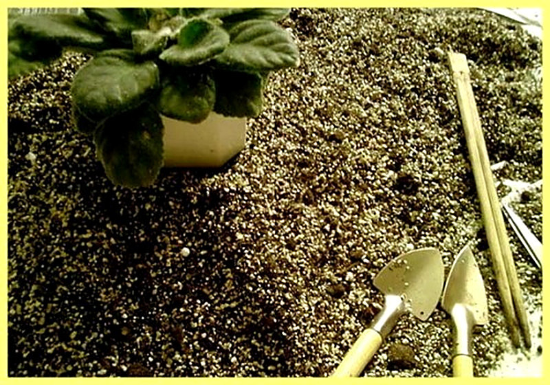 Почва для фиалок