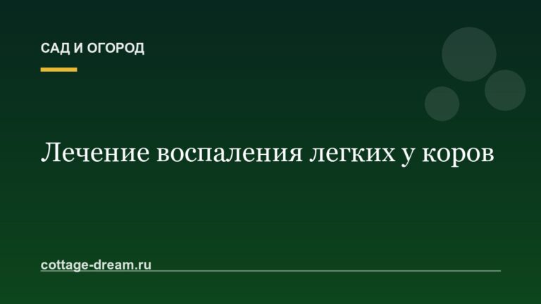 Лечение воспаления легких у коров