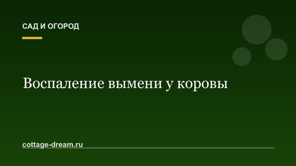 Воспаление вымени у коровы: как лечить мастит