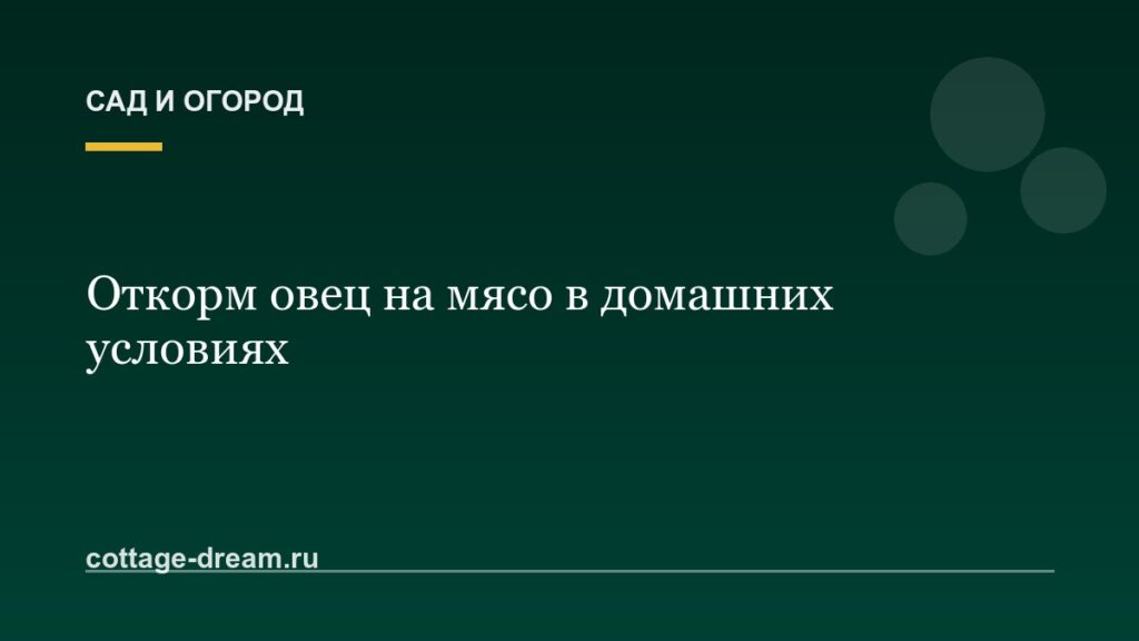 Откорм овец на мясо в домашних условиях