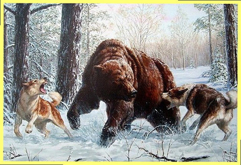Охота на медведя