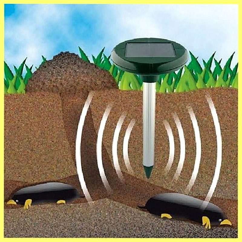 Меры борьбы с кротами на садовом участке