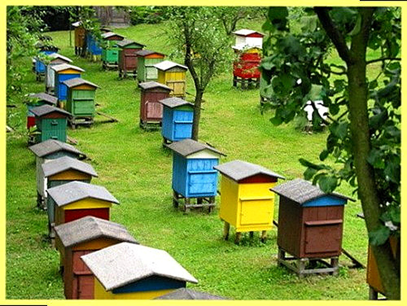 крышка улья