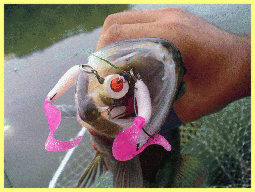 Лучшие приманки для ловли судака