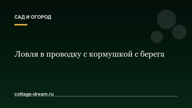 Ловля в проводку с кормушкой с берега