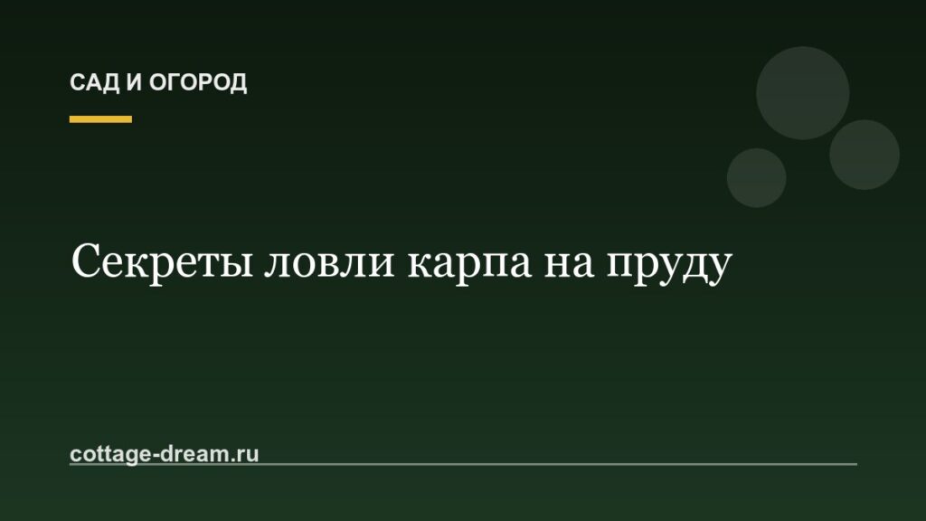 Секреты ловли карпа на пруду: в августе