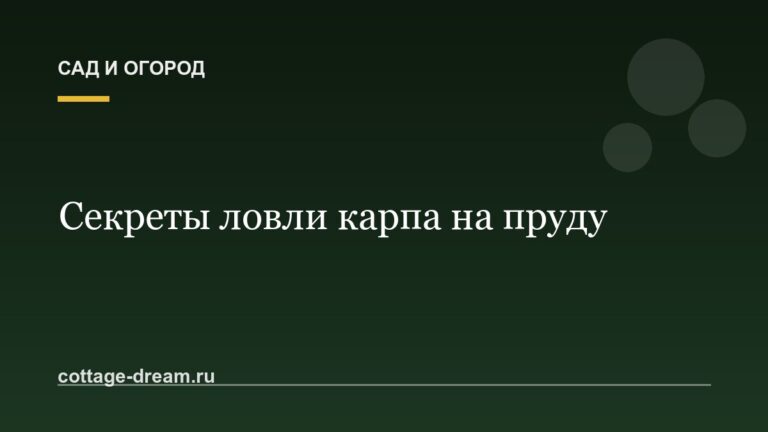 Секреты ловли карпа на пруду: в августе