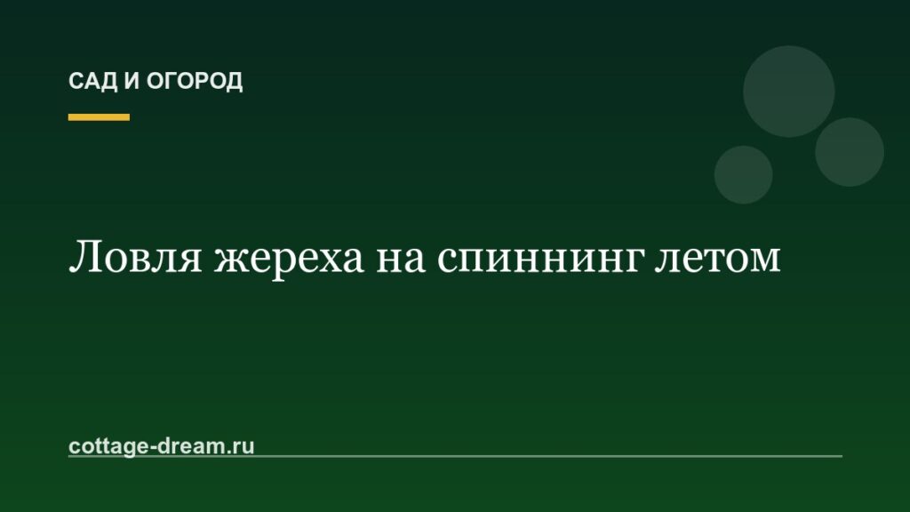 Ловля жереха на спиннинг летом