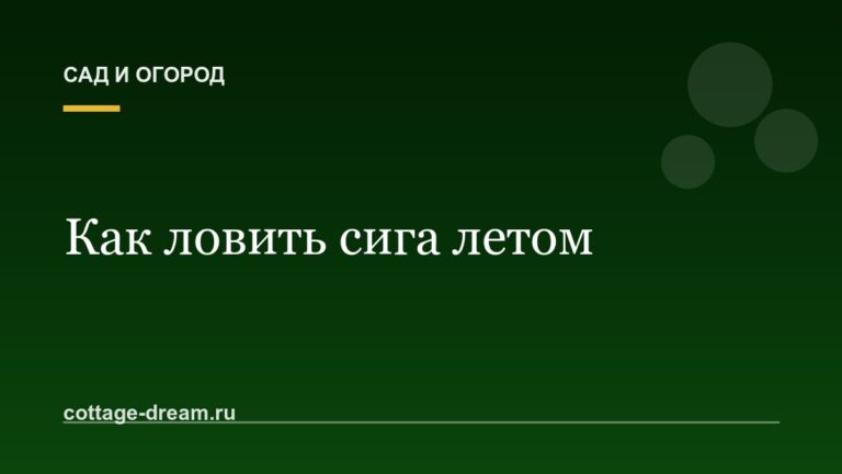 Как ловить сига летом